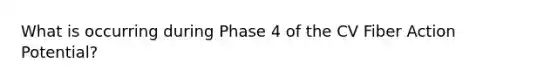 What is occurring during Phase 4 of the CV Fiber Action Potential?