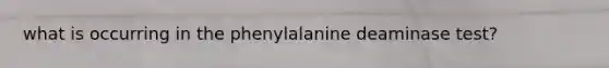 what is occurring in the phenylalanine deaminase test?