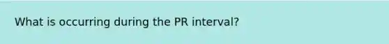 What is occurring during the PR interval?