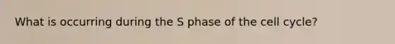 What is occurring during the S phase of the <a href='https://www.questionai.com/knowledge/keQNMM7c75-cell-cycle' class='anchor-knowledge'>cell cycle</a>?