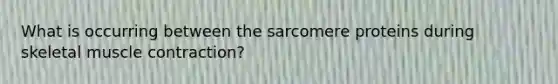 What is occurring between the sarcomere proteins during skeletal <a href='https://www.questionai.com/knowledge/k0LBwLeEer-muscle-contraction' class='anchor-knowledge'>muscle contraction</a>?