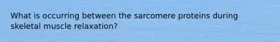 What is occurring between the sarcomere proteins during skeletal muscle relaxation?