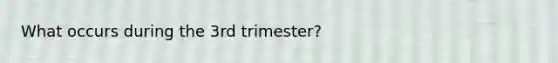 What occurs during the 3rd trimester?