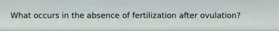 What occurs in the absence of fertilization after ovulation?