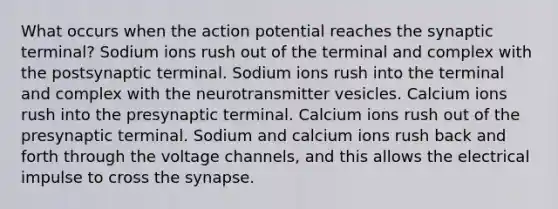 What occurs when the action potential reaches the synaptic terminal? Sodium ions rush out of the terminal and complex with the postsynaptic terminal. Sodium ions rush into the terminal and complex with the neurotransmitter vesicles. Calcium ions rush into the presynaptic terminal. Calcium ions rush out of the presynaptic terminal. Sodium and calcium ions rush back and forth through the voltage channels, and this allows the electrical impulse to cross the synapse.