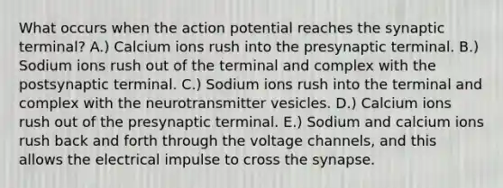 What occurs when the action potential reaches the synaptic terminal? A.) Calcium ions rush into the presynaptic terminal. B.) Sodium ions rush out of the terminal and complex with the postsynaptic terminal. C.) Sodium ions rush into the terminal and complex with the neurotransmitter vesicles. D.) Calcium ions rush out of the presynaptic terminal. E.) Sodium and calcium ions rush back and forth through the voltage channels, and this allows the electrical impulse to cross the synapse.