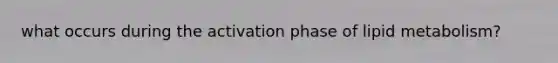 what occurs during the activation phase of lipid metabolism?