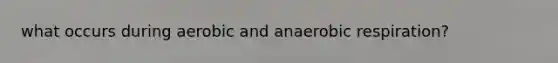 what occurs during aerobic and anaerobic respiration?