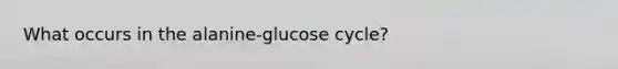 What occurs in the alanine-glucose cycle?