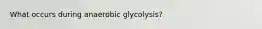 What occurs during anaerobic glycolysis?