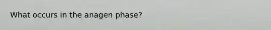 What occurs in the anagen phase?