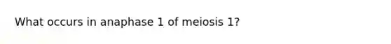 What occurs in anaphase 1 of meiosis 1?