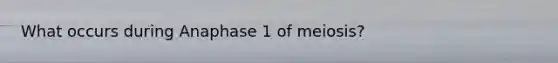 What occurs during Anaphase 1 of meiosis?