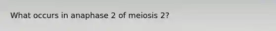 What occurs in anaphase 2 of meiosis 2?