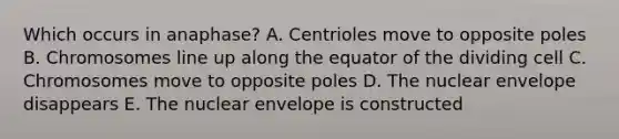 Which occurs in anaphase? A. Centrioles move to opposite poles B. Chromosomes line up along the equator of the dividing cell C. Chromosomes move to opposite poles D. The nuclear envelope disappears E. The nuclear envelope is constructed