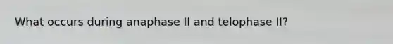 What occurs during anaphase II and telophase II?