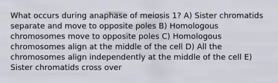 What occurs during anaphase of meiosis 1? A) Sister chromatids separate and move to opposite poles B) Homologous chromosomes move to opposite poles C) Homologous chromosomes align at the middle of the cell D) All the chromosomes align independently at the middle of the cell E) Sister chromatids cross over