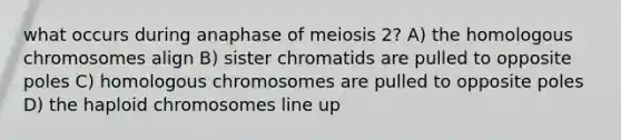 what occurs during anaphase of meiosis 2? A) the homologous chromosomes align B) sister chromatids are pulled to opposite poles C) homologous chromosomes are pulled to opposite poles D) the haploid chromosomes line up