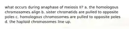 what occurs during anaphase of meiosis II? a. the homologous chromosomes align b. sister chromatids are pulled to opposite poles c. homologous chromosomes are pulled to opposite poles d. the haploid chromosomes line up.