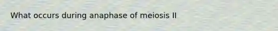 What occurs during anaphase of meiosis II