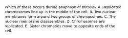 Which of these occurs during anaphase of mitosis? A. Replicated chromosomes line up in the middle of the cell. B. Two nuclear membranes form around two groups of chromosomes. C. The nuclear membrane disassembles. D. Chromosomes are replicated. E. Sister chromatids move to opposite ends of the cell.