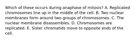 Which of these occurs during anaphase of mitosis? A. Replicated chromosomes line up in the middle of the cell. B. Two nuclear membranes form around two groups of chromosomes. C. The nuclear membrane disassembles. D. Chromosomes are replicated. E. Sister chromatids move to opposite ends of the cell.