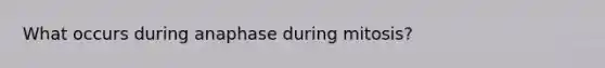 What occurs during anaphase during mitosis?
