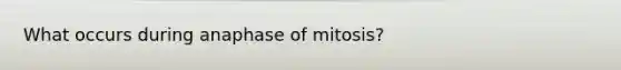 What occurs during anaphase of mitosis?