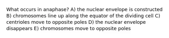 What occurs in anaphase? A) the nuclear envelope is constructed B) chromosomes line up along the equator of the dividing cell C) centrioles move to opposite poles D) the nuclear envelope disappears E) chromosomes move to opposite poles