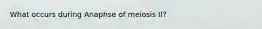 What occurs during Anaphse of meiosis II?