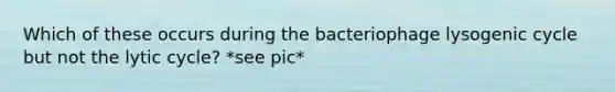 Which of these occurs during the bacteriophage lysogenic cycle but not the lytic cycle? *see pic*