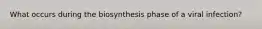 What occurs during the biosynthesis phase of a viral infection?