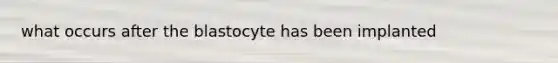 what occurs after the blastocyte has been implanted