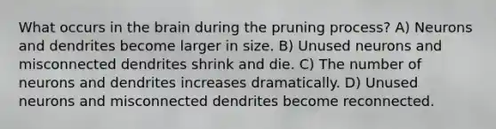 What occurs in <a href='https://www.questionai.com/knowledge/kLMtJeqKp6-the-brain' class='anchor-knowledge'>the brain</a> during the pruning process? A) Neurons and dendrites become larger in size. B) Unused neurons and misconnected dendrites shrink and die. C) The number of neurons and dendrites increases dramatically. D) Unused neurons and misconnected dendrites become reconnected.