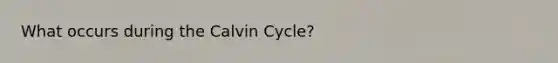 What occurs during the Calvin Cycle?