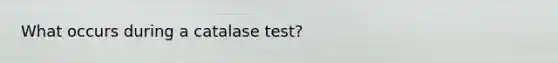 What occurs during a catalase test?