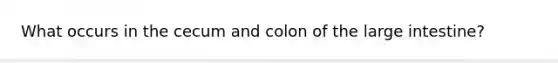 What occurs in the cecum and colon of the large intestine?