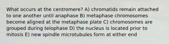 What occurs at the centromere? A) chromatids remain attached to one another until anaphase B) metaphase chromosomes become aligned at the metaphase plate C) chromosomes are grouped during telophase D) the nucleus is located prior to mitosis E) new spindle microtubules form at either end