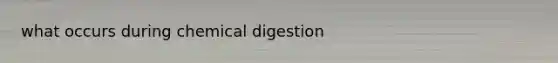 what occurs during chemical digestion