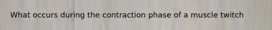 What occurs during the contraction phase of a muscle twitch