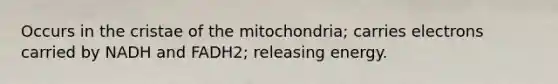 Occurs in the cristae of the mitochondria; carries electrons carried by NADH and FADH2; releasing energy.