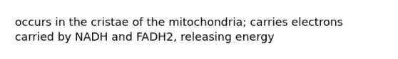 occurs in the cristae of the mitochondria; carries electrons carried by NADH and FADH2, releasing energy