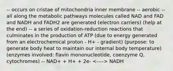 -- occurs on cristae of mitochondria inner membrane -- aerobic -- all along the metabolic pathways molecules called NAD and FAD and NADH and FADH2 are generated (electron carriers) (help at the end) -- a series of oxidation-reduction reactions that culminates in the production of ATP (due to energy generated from an electrochemical proton - H+ - gradient) (purpose: to generate body heat to maintain our internal body temperature) (enzymes involved: flavin mononucleotide, coenzyme Q, cytochromes) -- NAD+ + H+ + 2e- NADH