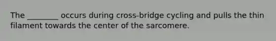 The ________ occurs during cross-bridge cycling and pulls the thin filament towards the center of the sarcomere.