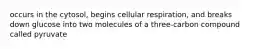 occurs in the cytosol, begins cellular respiration, and breaks down glucose into two molecules of a three-carbon compound called pyruvate