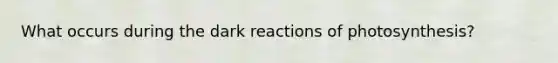 What occurs during the dark reactions of photosynthesis?