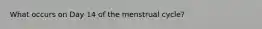 What occurs on Day 14 of the menstrual cycle?