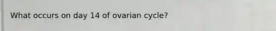 What occurs on day 14 of ovarian cycle?