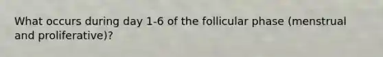 What occurs during day 1-6 of the follicular phase (menstrual and proliferative)?