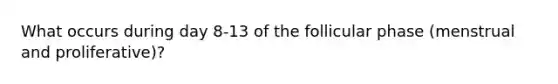 What occurs during day 8-13 of the follicular phase (menstrual and proliferative)?
